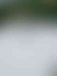 Wall Park Touring and Centry Road Camping Caravan Cleaning Brixham