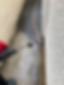 Patio Cleaning Paignton
