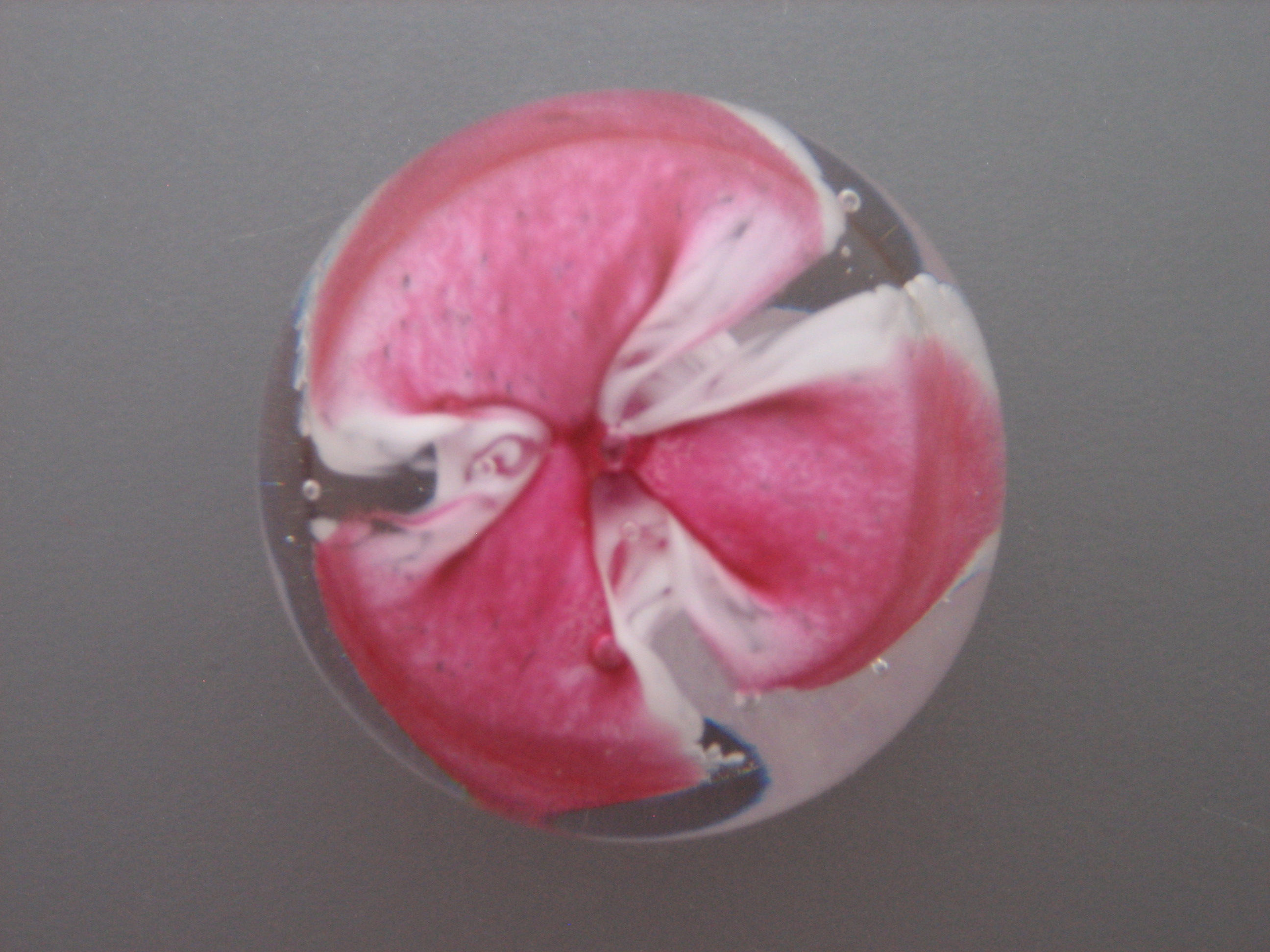 Collection: Contemporary