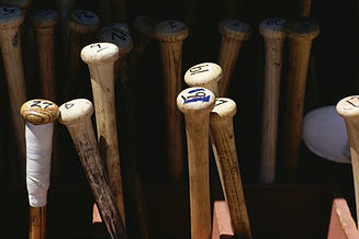 Baseball Bats