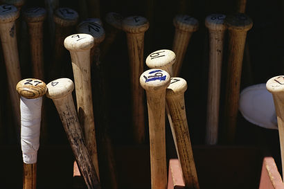Baseball Bats