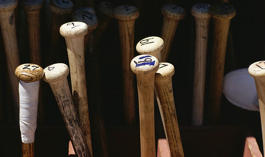 Baseball Bats