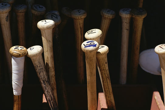 Baseball Bats