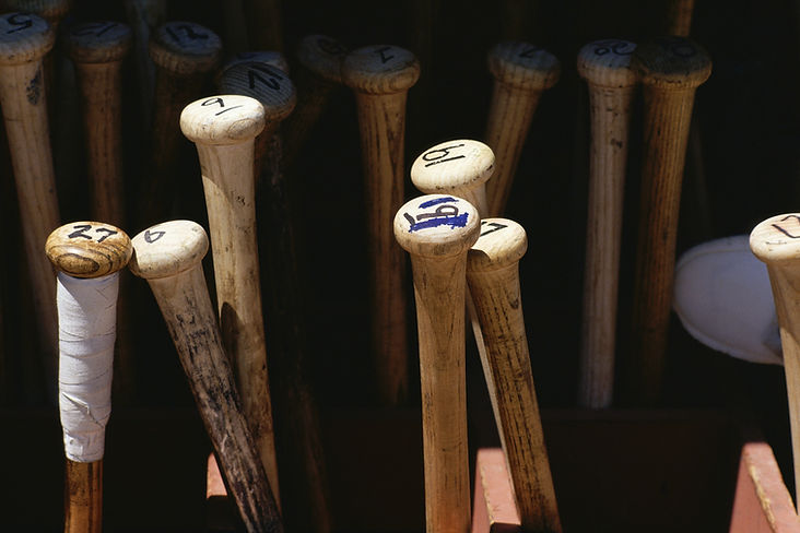 Baseball Bats
