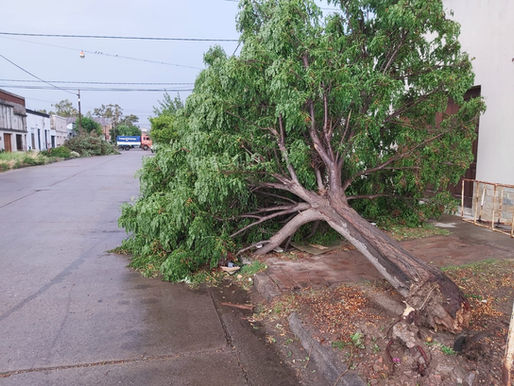 Reporte desde el tornado