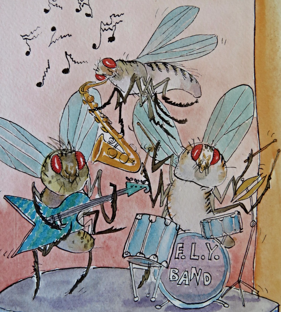 Drosophila melanogaster