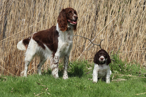Molly et K2