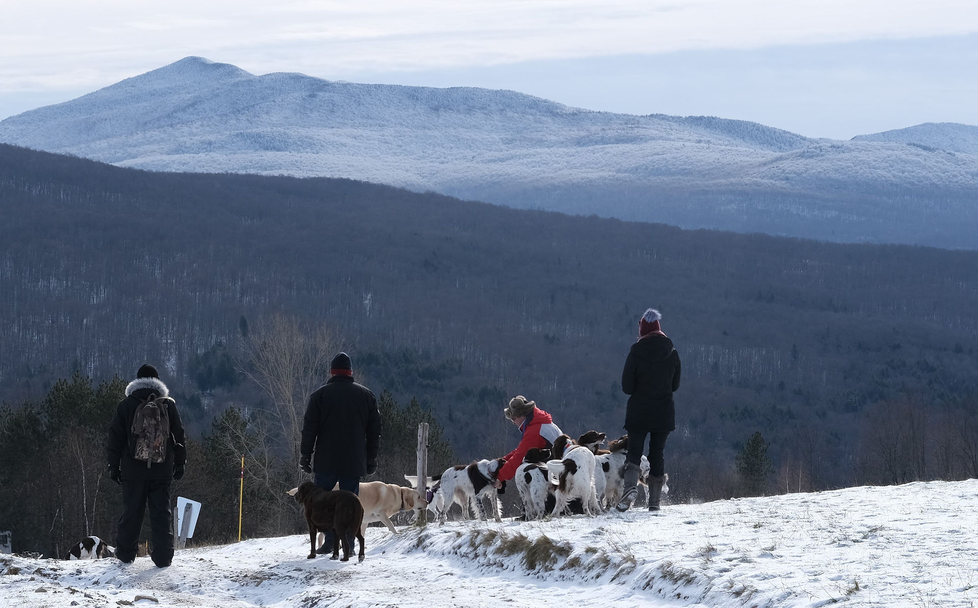 Sortie de famille 1-12-2019 (17)