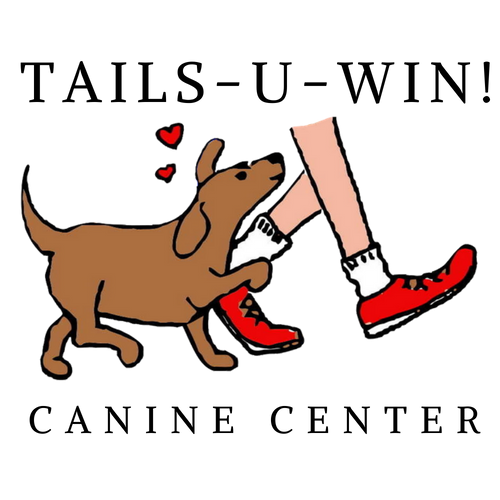 TailsUWin! Canine Center, LLC Family Dog Classes Manchester, CT