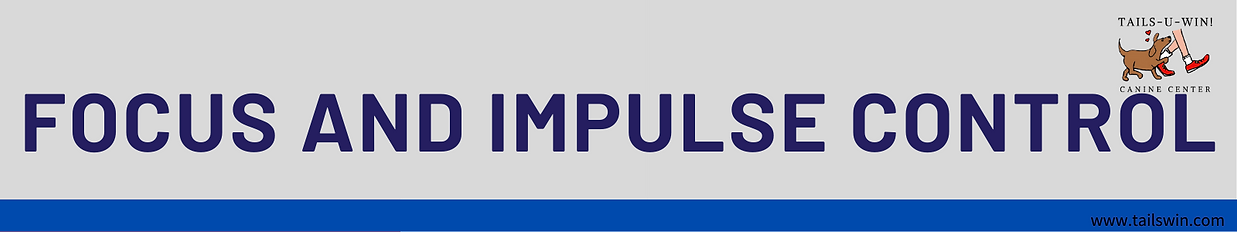 Focus and Impulse Control (2).png
