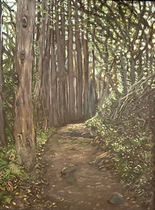 a walk on tam