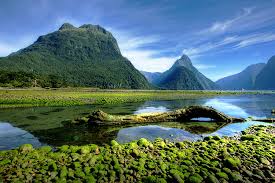 New Zealand