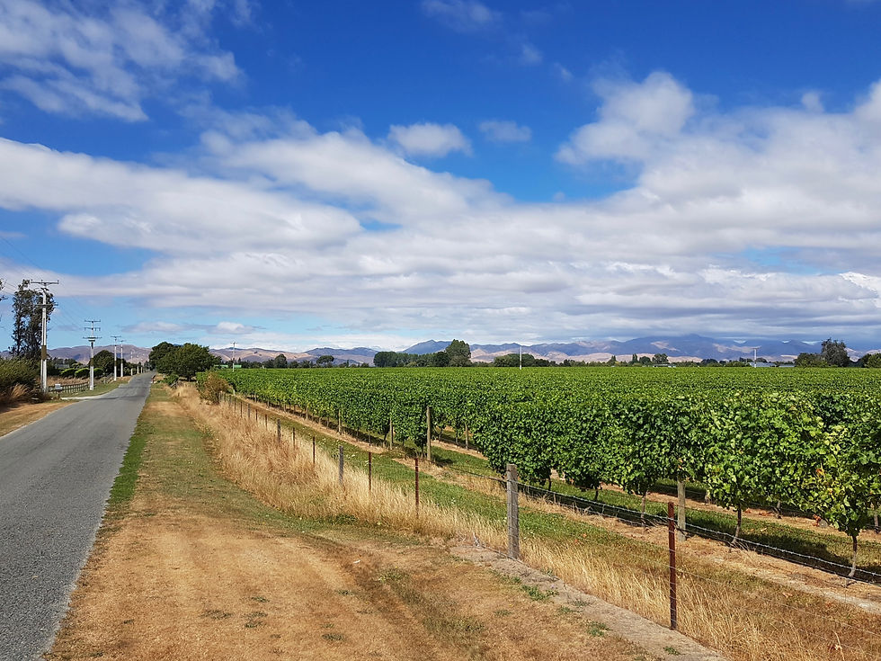 voor een prachtige Wine Tour
