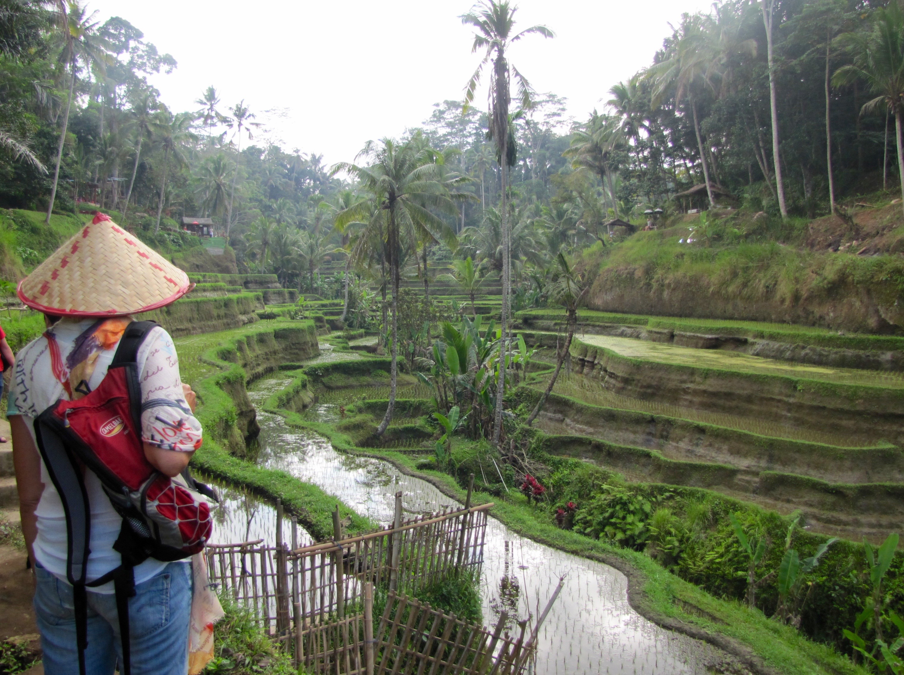 Bali (augustus)
