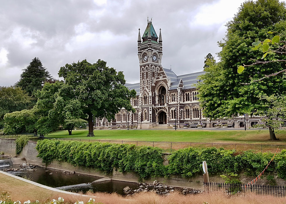 Dunedin University
