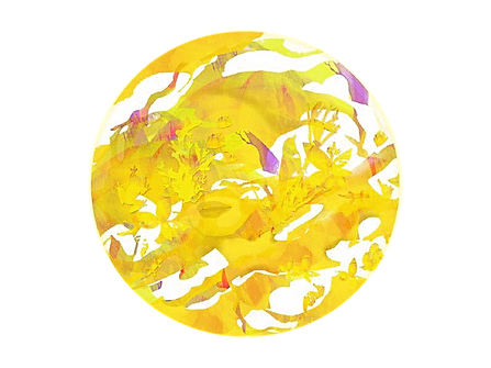 Logo Un Monde De Symbiose
