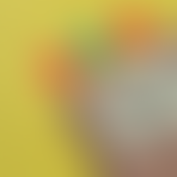 How to Prepare A Contingency Plan for your Event