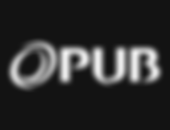 Event Company Singapore PUB Logo