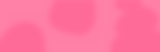 Group 427319428.png