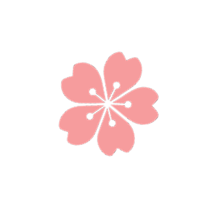 Pink Poppy Flowers