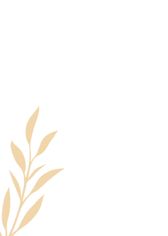 Plaquette de présentation générale-2.png