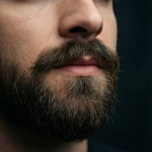 WolfHaus Grooming Mastery