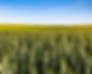 Century Farms (2022)-33.jpg