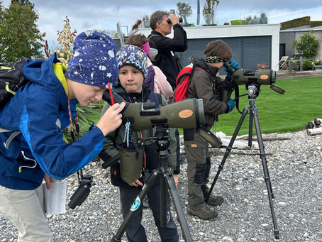 Ferienspass am See: Erlebnis Vogelwelt 3. Oktober 2024