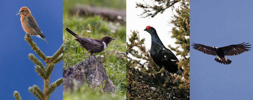 Bildschirmfoto 2025-12-03 um 21.21.59.png