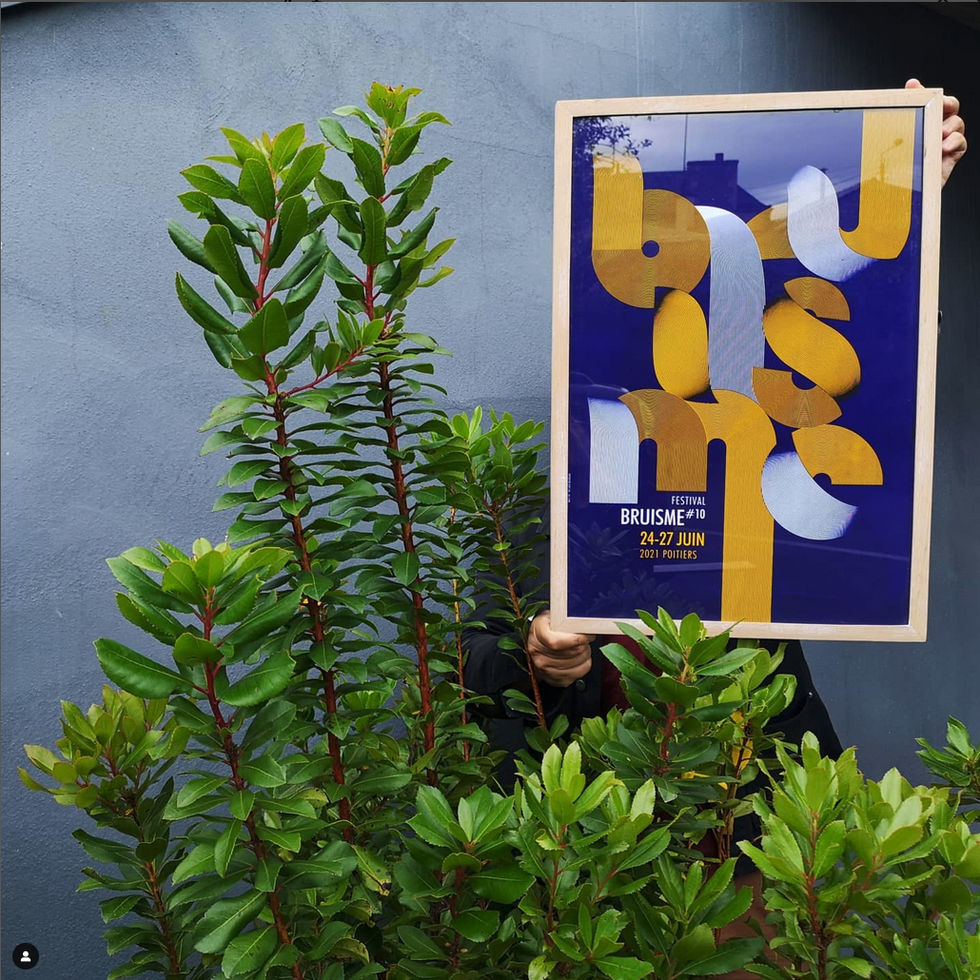 Bruisme #10 festival musique