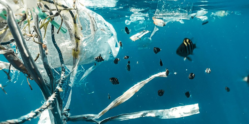 Pollution plastique de l'Océan