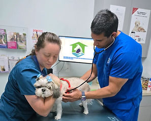 health care packages website images (4).jpg