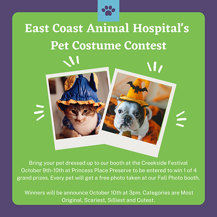Blue Pet Photo Contest Instagram Post (2).png
