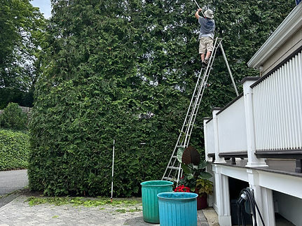 Steve Corey Landscaping