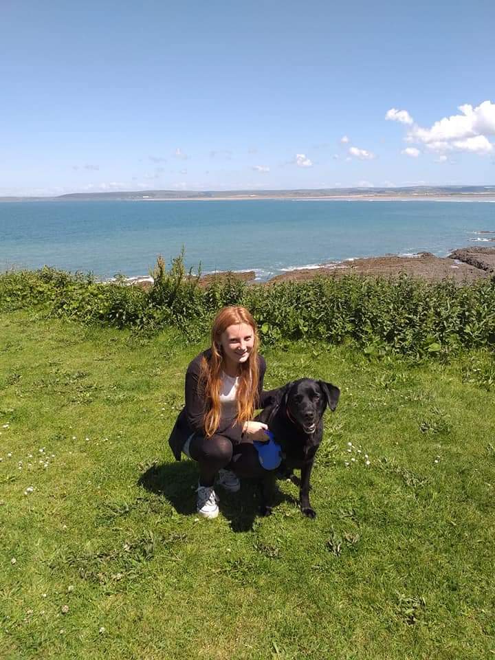 Writer: Jemmas Dog Training Service