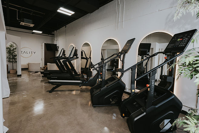 Vitality-Peter-Mollo-Fitness.jpg