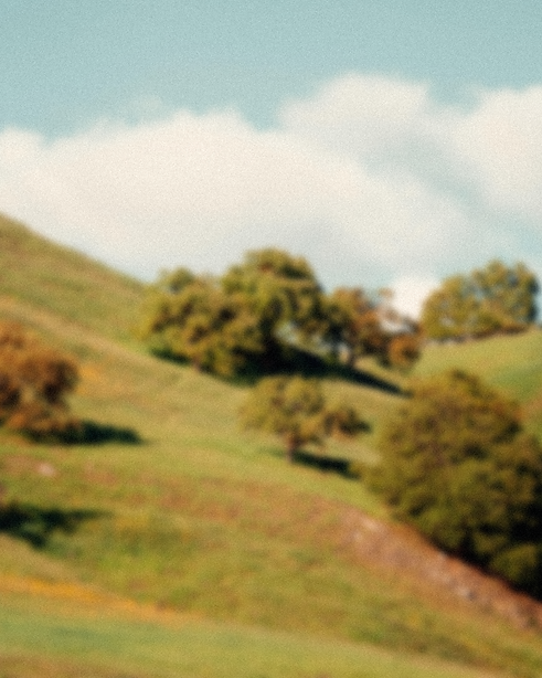background1.png