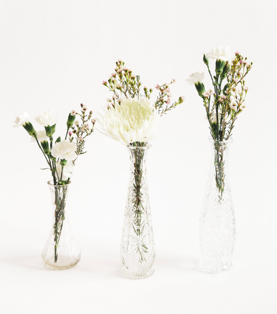 Glass Bud Vase Collection