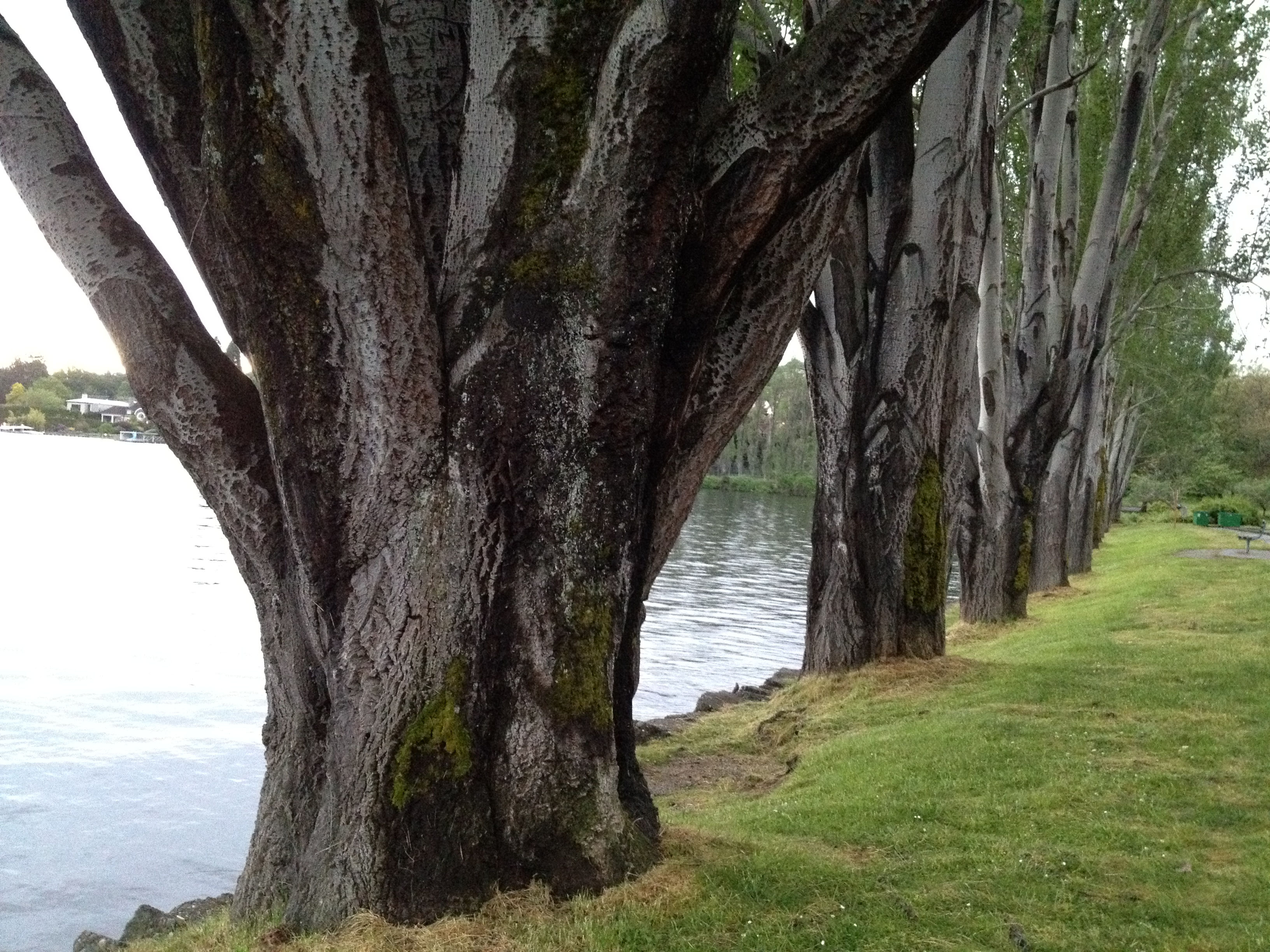 JMN-01 Join Me Now Photograph 1