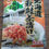 Thumbnail: Hokkaido Yamato Hokkaido autumn salmon mentaiko tea rice sauce 24g