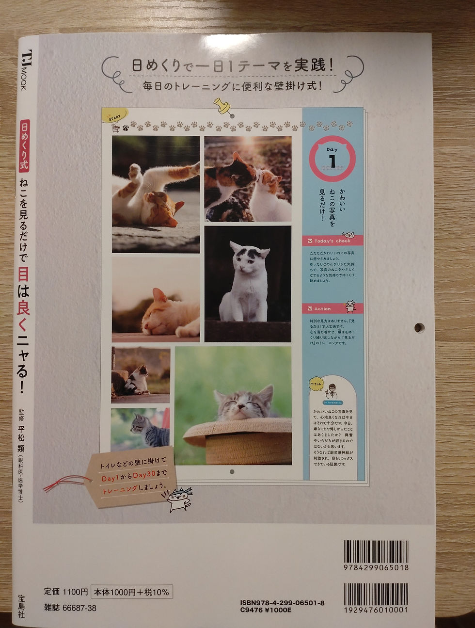 Thumbnail: 改善眼晴視力貓月曆 Improve eyesight cat calendar