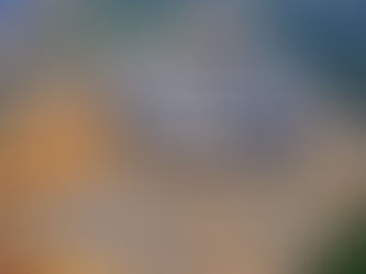 Avances del Estadio BBVA Bancomer