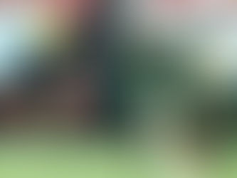 Santos derrota a Chivas y va a la final