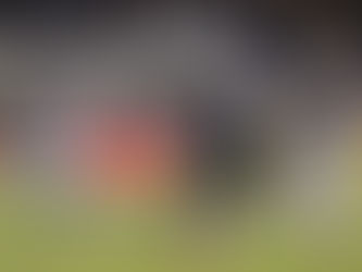 Querétaro se mete a la primera final en su historia