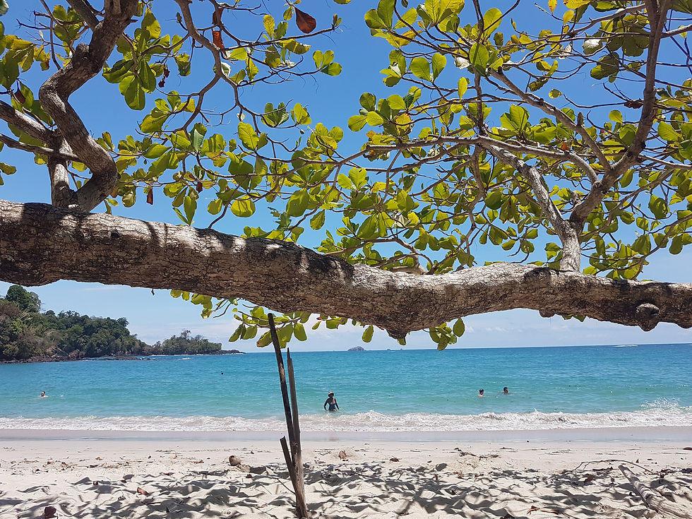 Manuel Antonio Beach