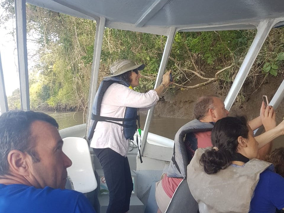 Boat trips