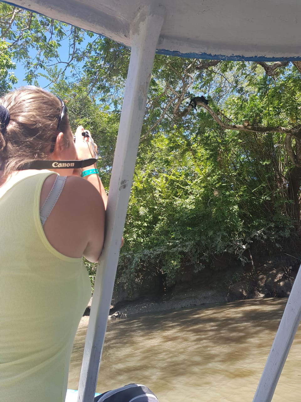 Boat trips