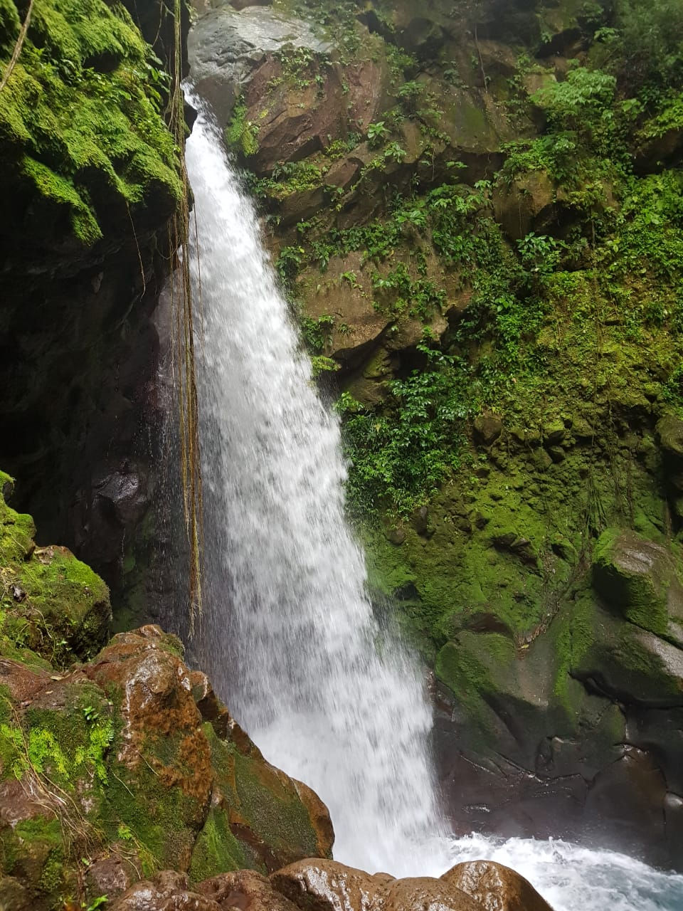 Beautiful Waterfall