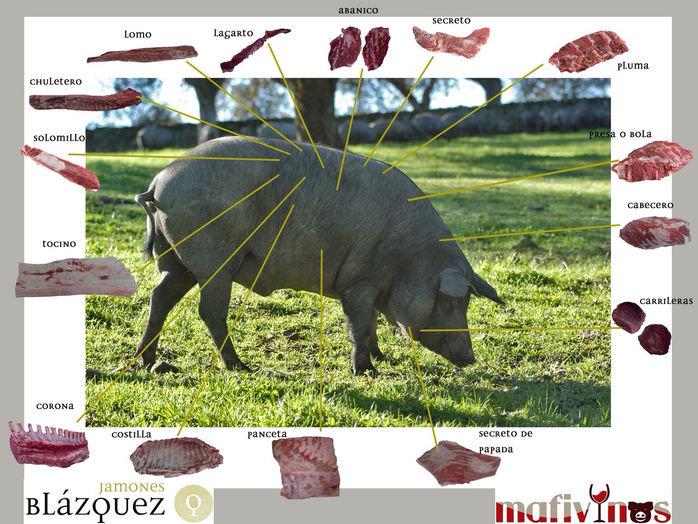 Acción COLOSAL con el cerdo ibérico: Blázquez y Mafivinos