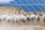 impianto fotovoltaico
